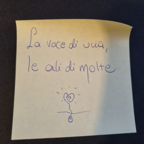 Feedback pubblico_selve_15