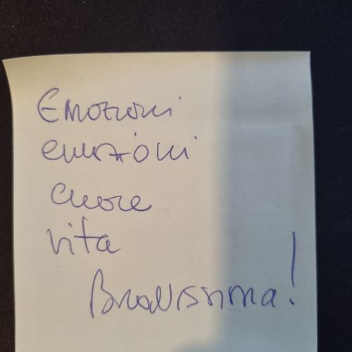 Feedback pubblico_selve_22